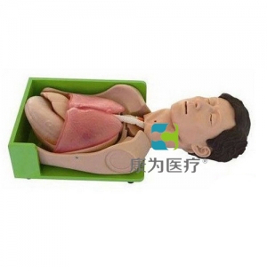 “康為醫(yī)療”胃腸減壓、吸痰標準化模擬病人