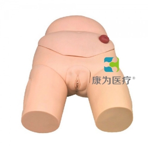 “康為醫(yī)療”高級整體女性導尿模型