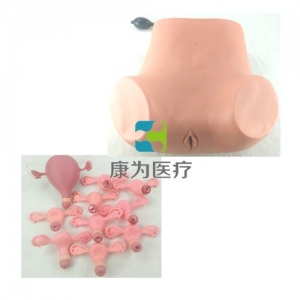 高級(jí)婦科綜合檢查模型(婦科雙合診、三合診檢查模型）
