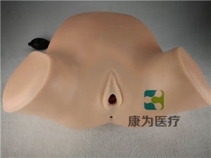 高端產(chǎn)科四步觸診、肛查、陰道檢查訓(xùn)練模型