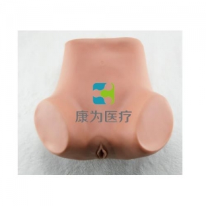 “康為醫(yī)療”子宮底檢查模型,產(chǎn)后子宮底評定、按摩訓練模型,子宮底檢查評定模型