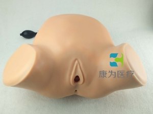 “康為醫(yī)療”婦產(chǎn)科四步觸診肛查陰道檢查監(jiān)測考核指導模型,高級腹部觸診、分娩機轉(zhuǎn)綜合模型