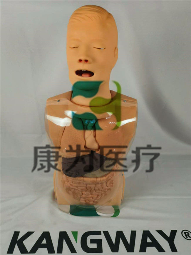 高級(jí)鼻淚管通液訓(xùn)練模型,淚道沖洗訓(xùn)練模型,淚道探通術(shù)訓(xùn)練模型